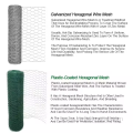 Galvanized Hexagonal Wire Mesh for Farm Chicken Mesh